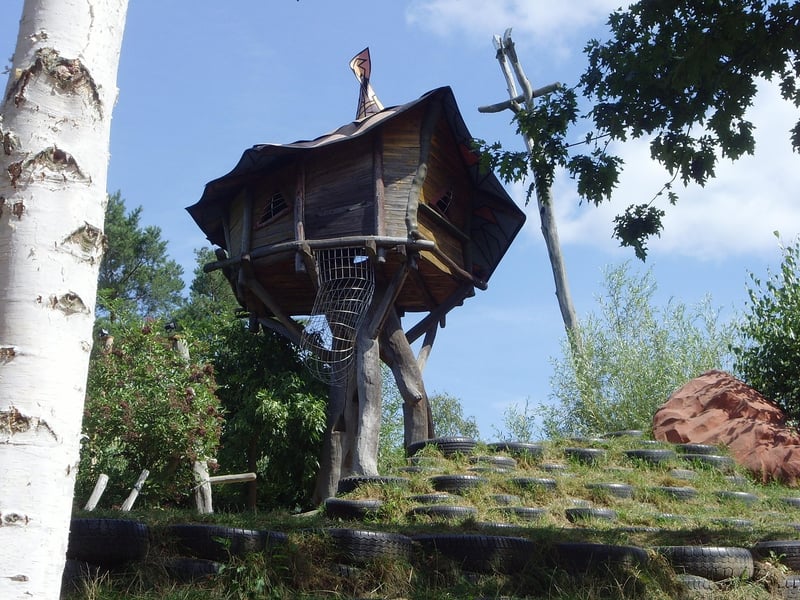 Treehouse with a view